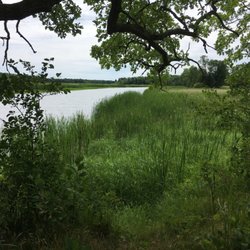 Schoolcraft State Park - Wetlands along the Mississippi.