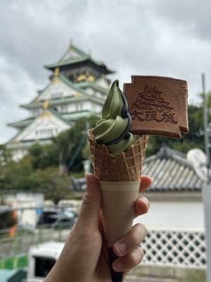 Osaka Castle Park by null