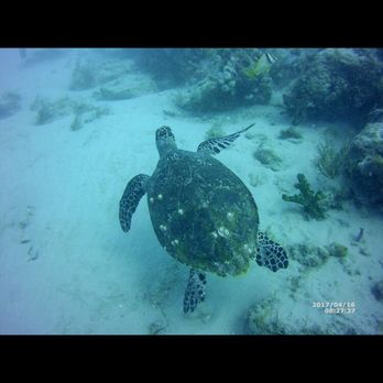 Deep Obsession Charters - Scuba Diving Near Me - Lake Park, Florida Deep Obsession Charters - Scuba Diving Near Me - Lake Park, Florida