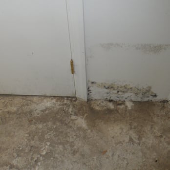 Apex Mold Specialists - Damage Restoration Near Me - Brooklyn, New York