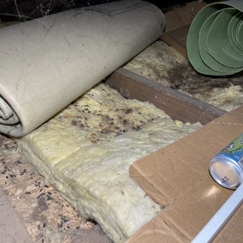Rogue Wildlife Solutions - Wildlife Control Near Me Rogue Wildlife Solutions - Wildlife Control Near Me