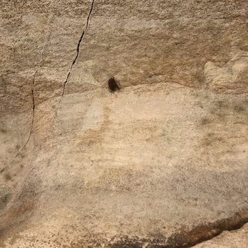 Rickwood Caverns State Park - Bat in cave - Parks Near Me - Warrior, Alabama Rickwood Caverns State Park - Bat in cave - Parks Near Me - Warrior, Alabama