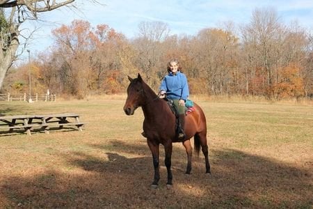 Courtesy Stable - equestrian in Philadelphia, PA