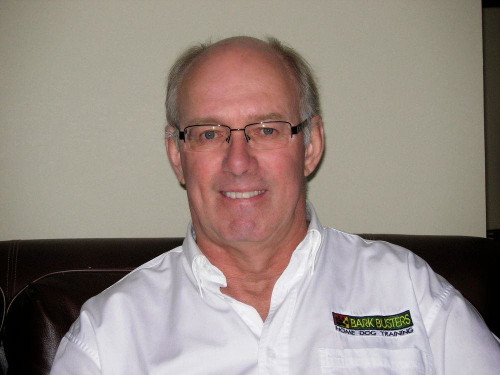 bark busters money back