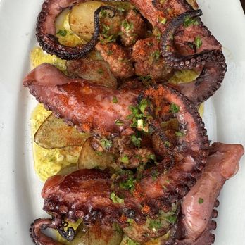 Tisza Bistro - Modern European Near Me - Healdsburg, California Tisza Bistro - Modern European Near Me - Healdsburg, California