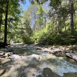 Russell Brook Campsite - River