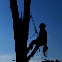 Mid State Tree Service