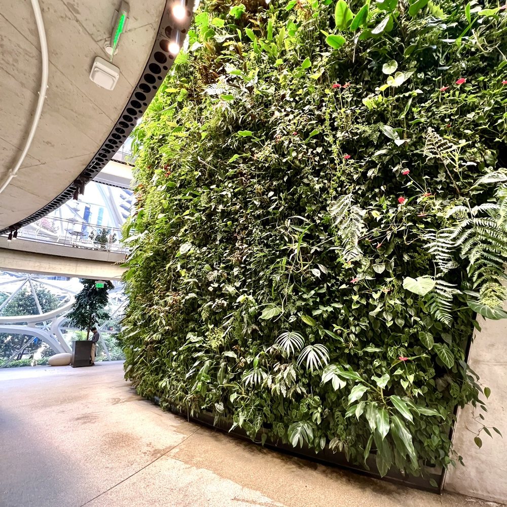 Amazon Spheres - Botanical Gardens Near Me - Seattle, Washington Amazon Spheres - Botanical Gardens Near Me - Seattle, Washington