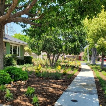 Artisan Landscape Design - a sidewalk in front of a house - Landscaping Near Me