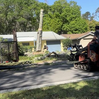 Darrell's Landscaping & Tree Service - Tree Services Near Me - Lutz, Florida