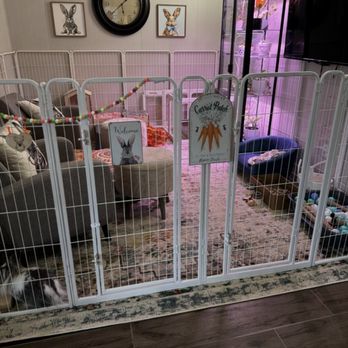 The Splooting Rabbit - Best enclosure - Pet Groomers Near Me - Phoenix, Arizona The Splooting Rabbit - Best enclosure - Pet Groomers Near Me - Phoenix, Arizona