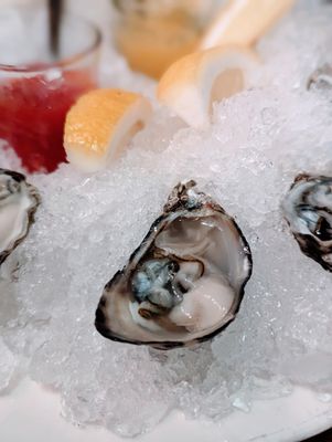 The Observatory by null The Observatory by null