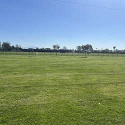 Courreges Roch School - Back field