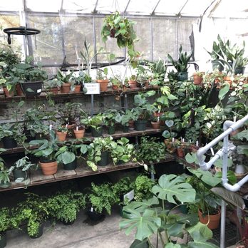 Lyman Estate Greenhouse - Houseplants for sale - Flowers & Gifts Near Me - Waltham, Massachusetts Lyman Estate Greenhouse - Houseplants for sale - Flowers & Gifts Near Me - Waltham, Massachusetts