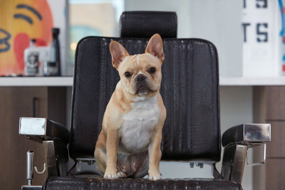 Jets Barbershop Logo