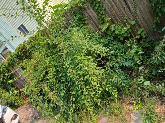 Kc Junk Removal and Services