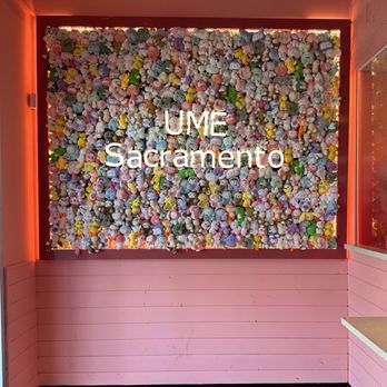 UME Tea - Sacramento - Coffee & Tea Near Me - Sacramento, California