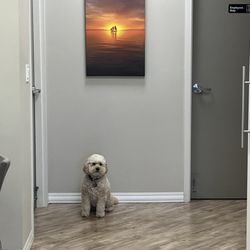 Greenwood Dental Care
