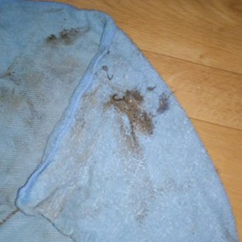 Mountain Aire Cottage Care - Dirt on the tops of kitchen cabinet doors - Home Cleaning Near Me - Montrose, Pennsylvania Mountain Aire Cottage Care - Dirt on the tops of kitchen cabinet doors - Home Cleaning Near Me - Montrose, Pennsylvania