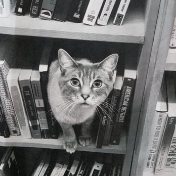 Twice Sold Tales - Used Bookstore Near Me - Seattle, Washington