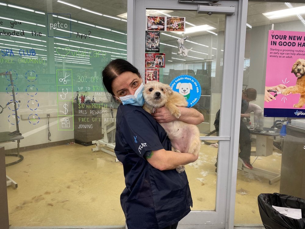 PETCO 12 Photos & 20 Reviews Pet Stores 7 East Desilvio Dr