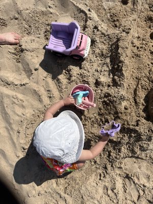 Warren Dunes State Park by null