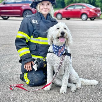 Sit Means Sit - Pet Training Near Me - Madison, Wisconsin Sit Means Sit - Pet Training Near Me - Madison, Wisconsin
