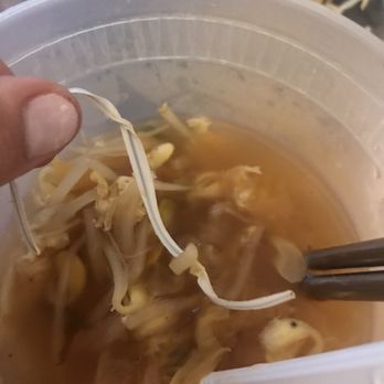 Hanbat Restaurant - Be aware! Soups may come with twist ties. - Korean Near Me - New York, New York