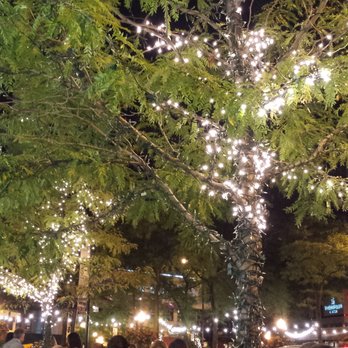 Maple & Ash - Nice street side dining before going upstairs. ... - Steakhouses Near Me - Chicago, Illinois Maple & Ash - Nice street side dining before going upstairs. ... - Steakhouses Near Me - Chicago, Illinois