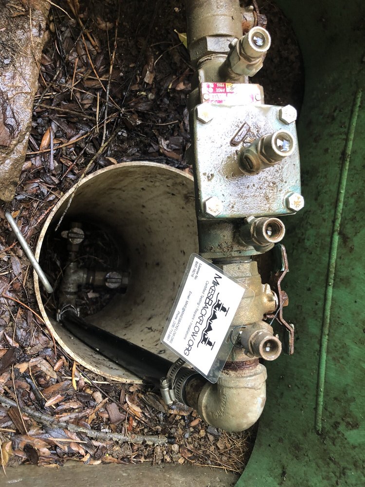 Slide of Mike's Backflow