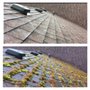 Joshua's Landscaping Services & More!