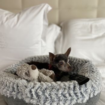 Warm & Fuzzy Veterinary Center - Veterinarians Near Me - Middle River, Maryland