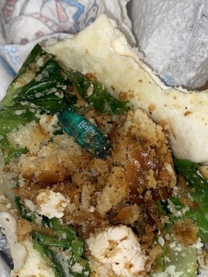 Concord New London Style Pizza by null