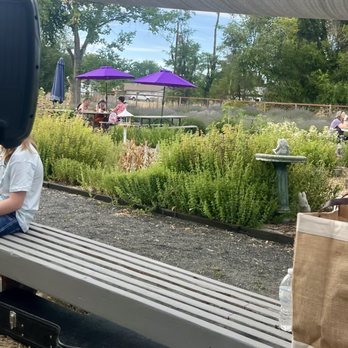 Bohemian Bloom & Herb Farm - Multi seating options avail, as well as shade sails & misters (during special events) - Attraction Farms Near Me - Eagle, Idaho