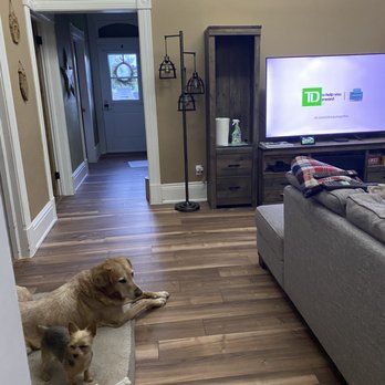 PGC Renovations - a dog laying on a dog bed in a living room - General Contractors Near Me - Cambridge, Ontario