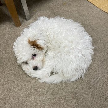 Barnes Mill Animal Hospital Veterinarians 1321 Barnes Mill Rd Richmond Ky Phone Number Yelp Barnes Mill Animal Hospital Veterinarians 1321 Barnes Mill Rd Richmond Ky Phone Number Yelp