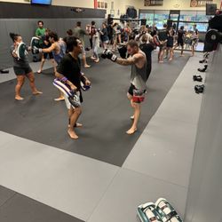 Stafford MMA