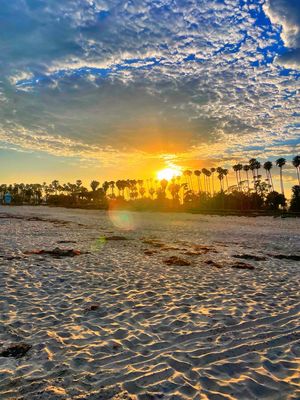 East Beach by null