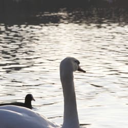 Seepark