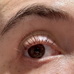 The Lash Salon - Yes, those are my natural lashes with a lift & tint!