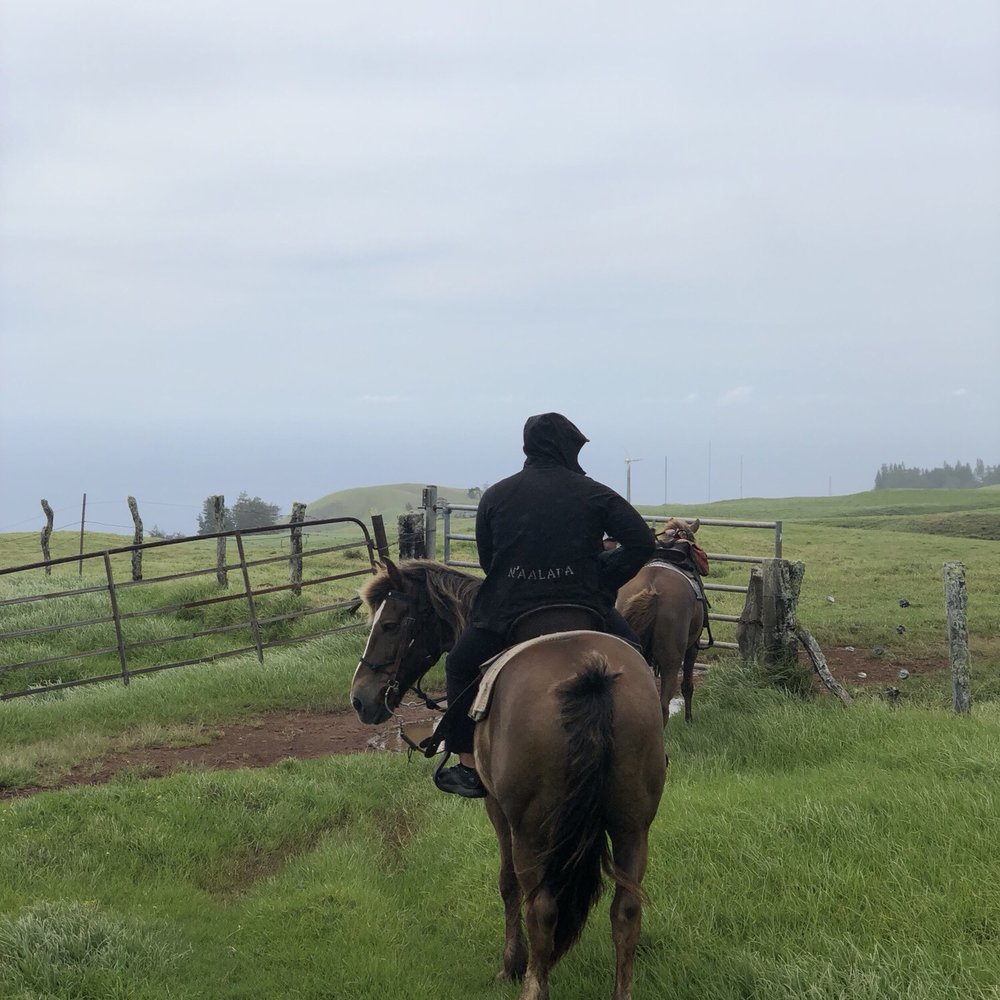 Na'alapa Stables - Horseback Riding Near Me - Kamuela, Hawaii Na'alapa Stables - Horseback Riding Near Me - Kamuela, Hawaii