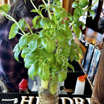 Alaska Fish House - Thai Basil - Seafood Near Me - Ketchikan, Alaska
