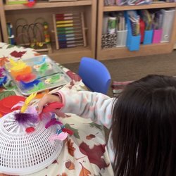 Sensory activity