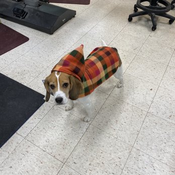 SnipIts Pet Salon - Aaliyah with her coat they gave her - Pet Groomers Near Me - Indianapolis, Indiana SnipIts Pet Salon - Aaliyah with her coat they gave her - Pet Groomers Near Me - Indianapolis, Indiana