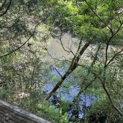 Old Santee Canal Park