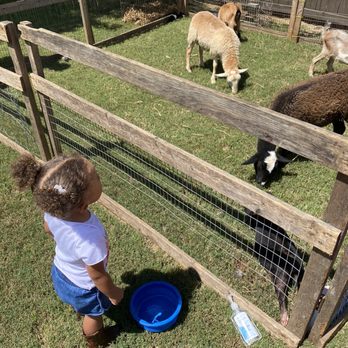 Cricket's Mobile Petting Zoo - Petting Zoos Near Me - Kennesaw, Georgia Cricket's Mobile Petting Zoo - Petting Zoos Near Me - Kennesaw, Georgia