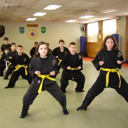 Li Ninjutsu Centers of East Islip - We are a traditional martial art school. We are not a belt factory and we only teach those that are interested in real martial arts.