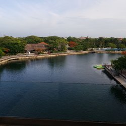 Dolphin Discovery Dreams Puerto Aventuras