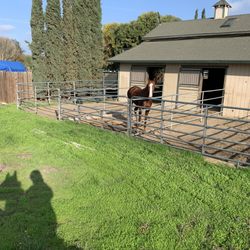Cedar Creek Stables - Barn & paddocks