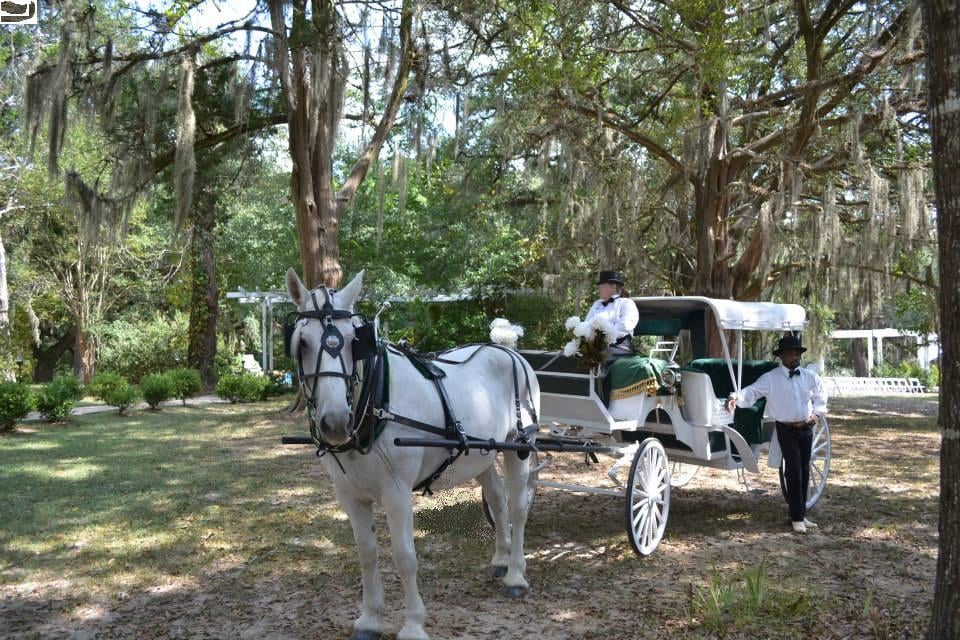 Elysian Fields Farm Horse and Carriage Logo
